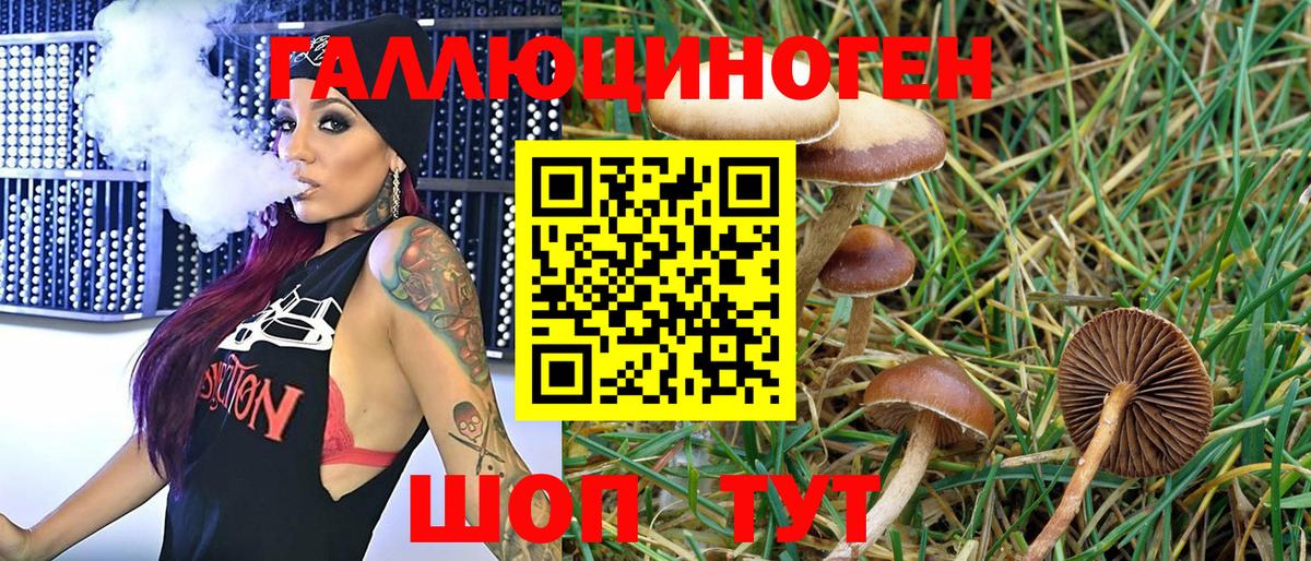 наркотики  Йошкар-Ола  Галлюциногенные грибы мухоморы  Галлюциногенные грибы мухоморы 